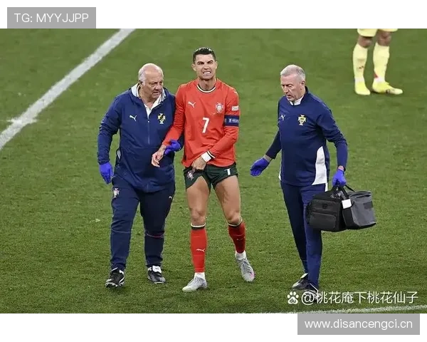 葡萄牙体育联赛冠军主力：帕利尼亚的巅峰荣誉